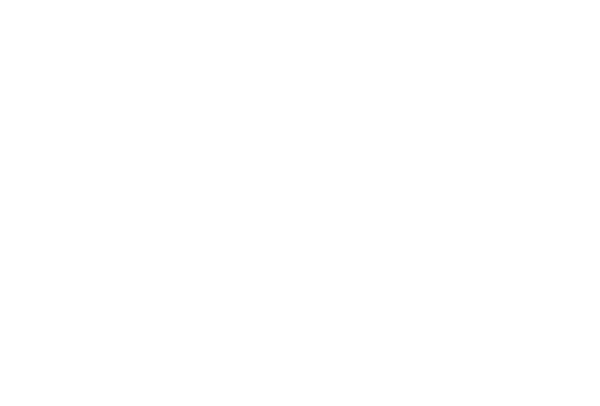Esselon Cafe and Coffee Roasting, Hadley, MA
